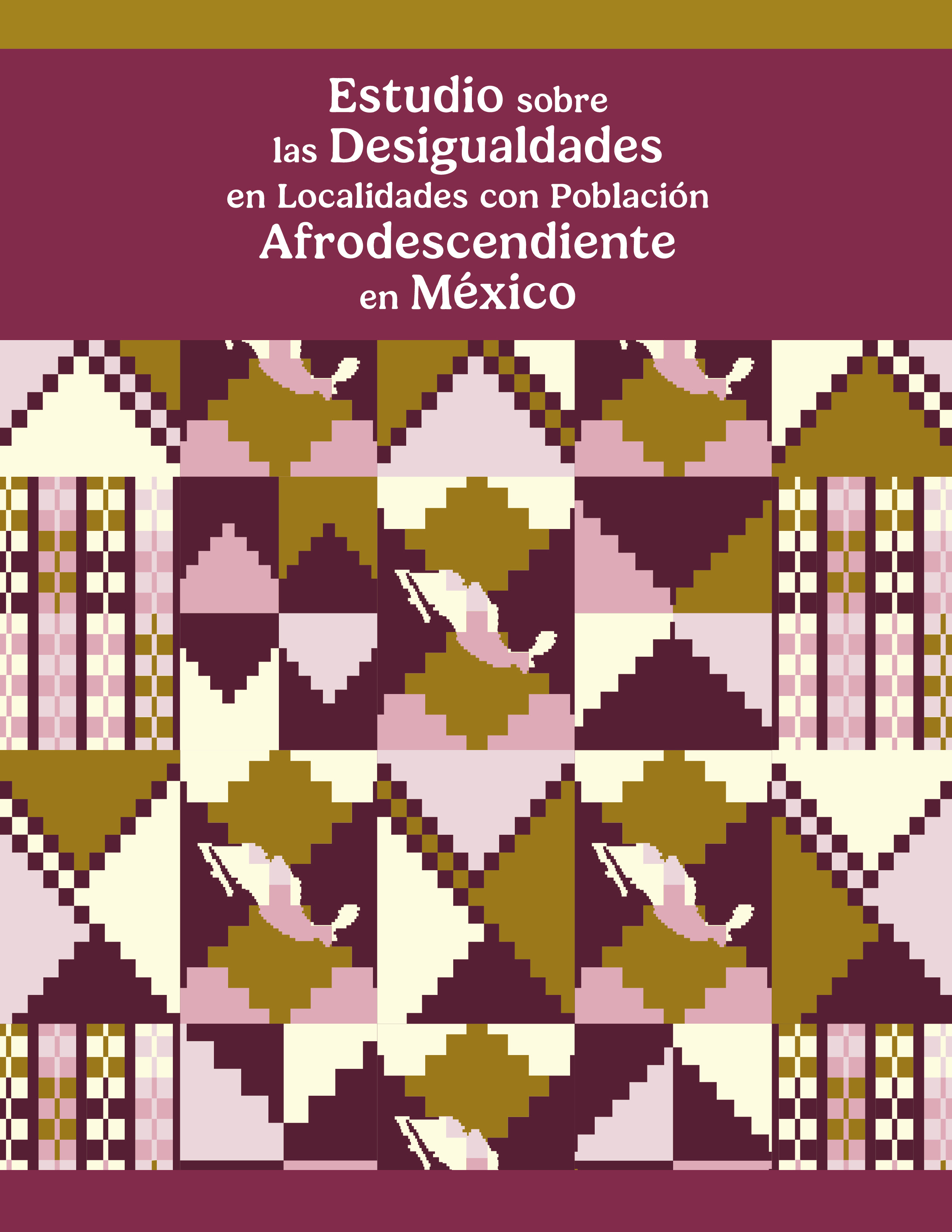 Portada: Estudio sobre las desigualdades en localidades con población afrodescendiente en México