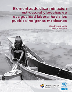 Portada: Elementos de discriminación estructural y brechas de desigualdad laboral hacia los pueblos indígenas mexicanos